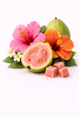 Hibiscus Guava Fresca