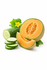 Pepinillo y Melón
