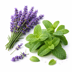 Lavanda & Menta