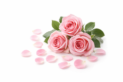 Rosas