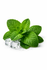 Menta