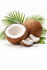 Exotic Coconut