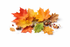Autumn Leaves