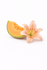 Cantaloupe & Lily