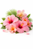 Island Petals