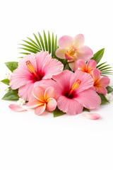 Island Petals