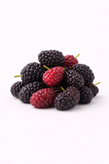 Mulberry