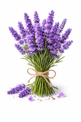 Lavender Flowers