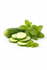 Garden Mint & Cucumber