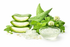 Aloe & Green Clover