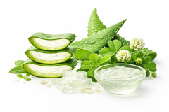 Aloe & Green Clover