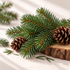 Balsam Fir