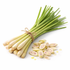 Lemongrass