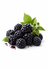 Blackberry