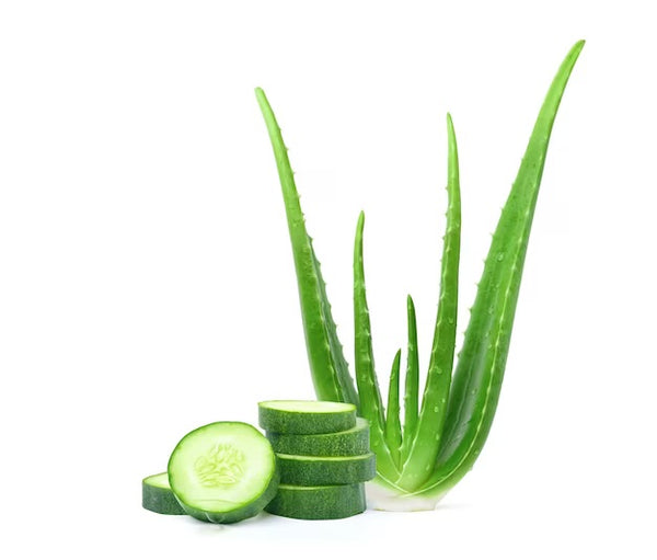 Aloe Vera & Cucumber