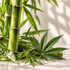 Bamboo Hemp
