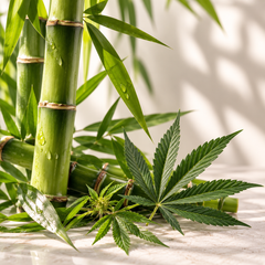 Bamboo Hemp