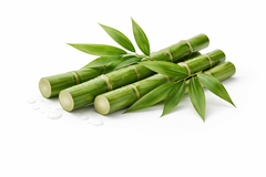 Bambú