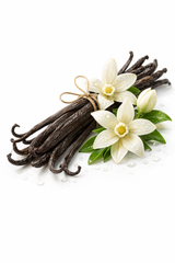Vanilla Bean