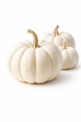 White Pumpkin