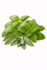 Basil, Sage & Mint