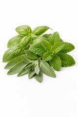 Basil, Sage & Mint