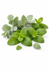 Eucalipto y Menta