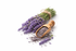 Lavanda