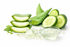 Aloe Vera & Cucumber