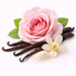 Rose Vanilla