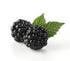 Blackberry