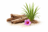 Beachwood Vetiver