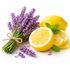 Lavanda Limón
