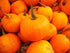 Calabaza