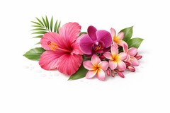 Bahama Blooms