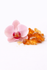 Pink Orchid & Amber