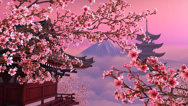 Japanese Cherry Blossom