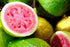 Guava